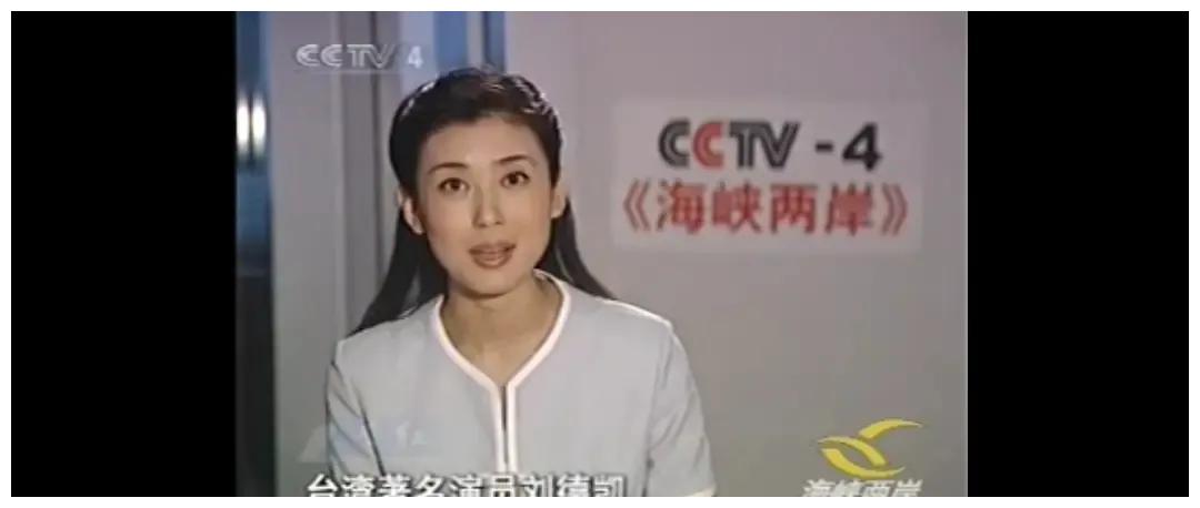 央视美女主播李红被爆料：丈夫出轨还性侵，公公在服刑中（视频/组图） - 5