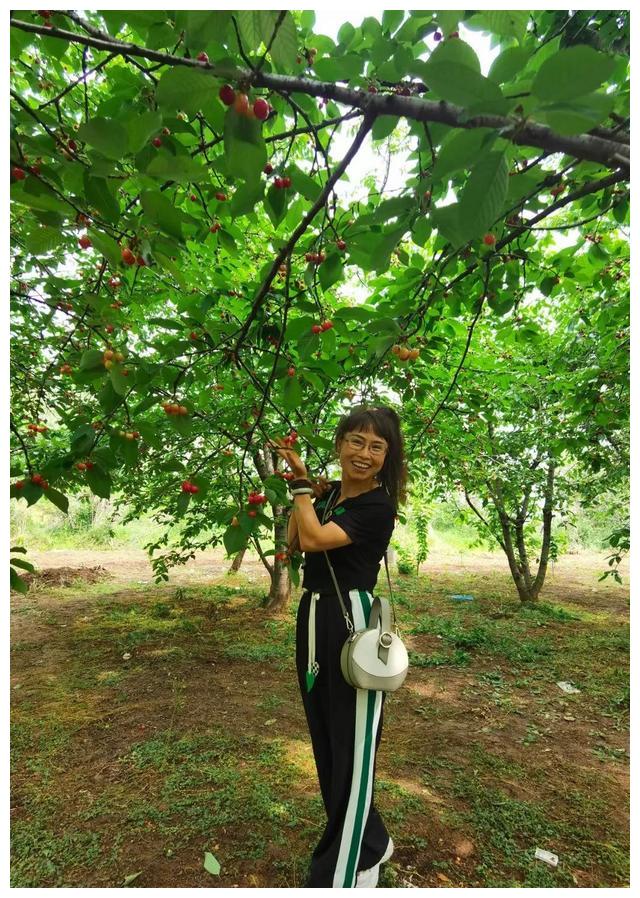 樱桃园里尽兴地摆拍