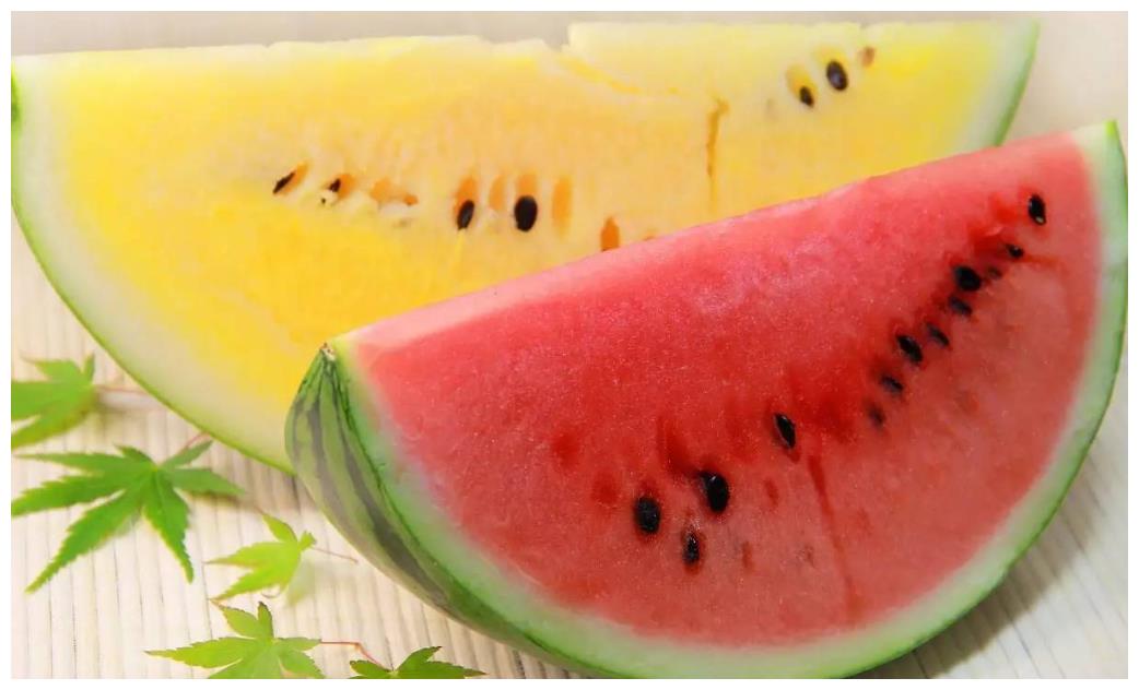 在沙漠中看到满地的西瓜,为何没人摘?再口渴也不能摘休闲区蓝鸢梦想 - Www.slyday.coM 在沙漠中看到满地的西瓜,为何没人摘?再口渴也不能摘休闲区蓝鸢梦想 - Www.slyday.coM