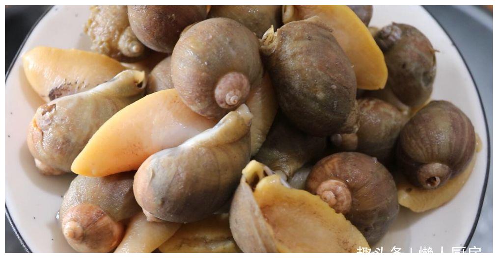 假鲍鱼很多人没吃过口感却跟鲍鱼差不多大半个身子都是足