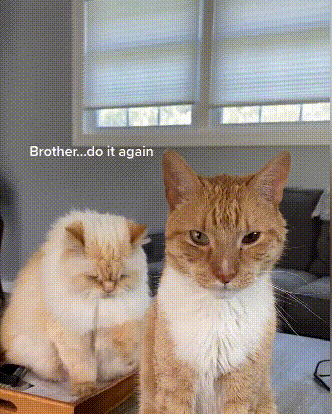 332_414竖版 竖屏gif 动态图 动图