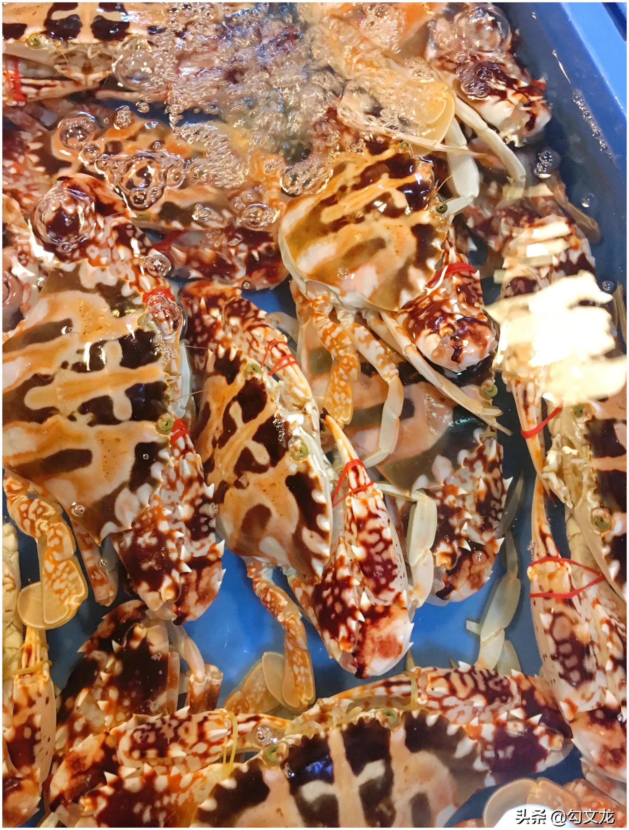 来厦门鼓浪屿旅游,这么吃海鲜最实惠,还有彩色的皮皮虾