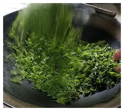 手工明前炒青茶的做法