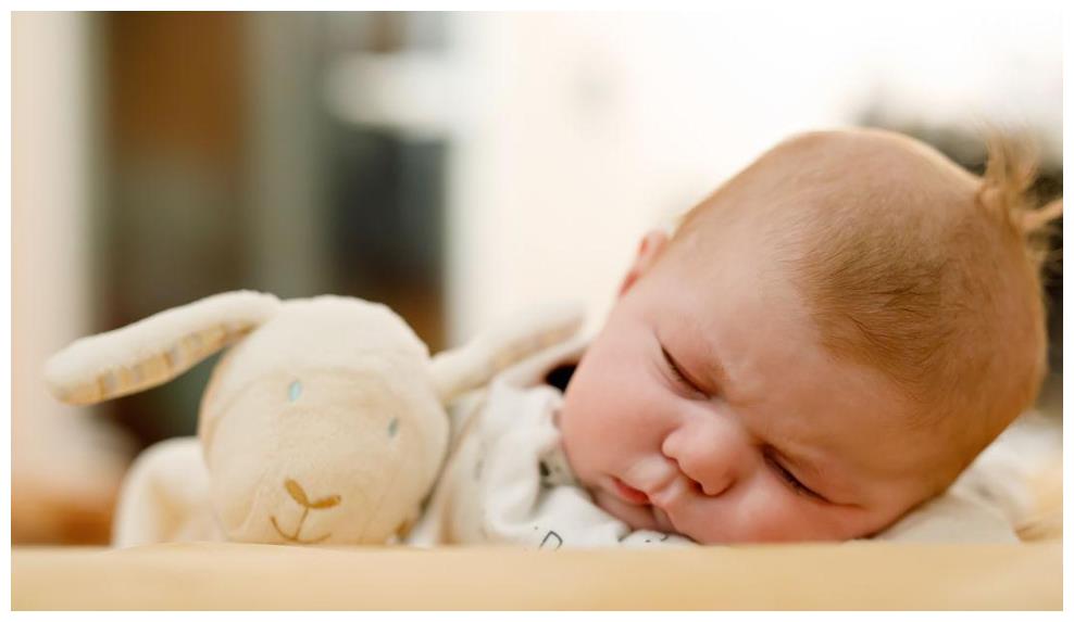 宝宝养育：如何给5-7个月宝宝做早教，需要锻炼哪些能力？
