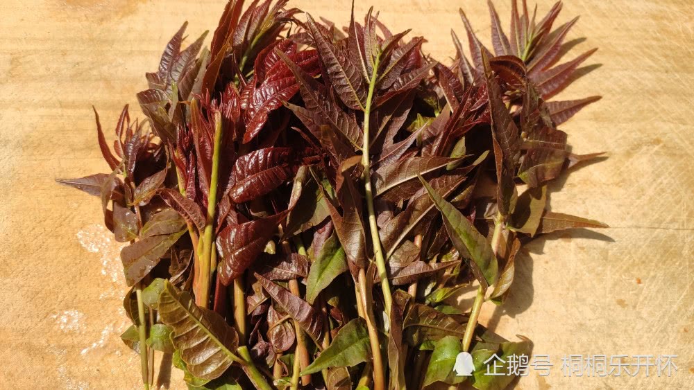 豆腐和"它"是绝配,开水一烫一拌,开胃健脾,家人多吃身体棒!