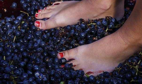 这用脚"踩"出来的食物,不卫生?其实你最少吃过一种!