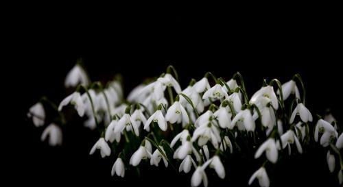 有心眼,但不喜欢坑人的星座,迟早能过上美好的生活休闲区蓝鸢梦想 - Www.slyday.coM 有心眼,但不喜欢坑人的星座,迟早能过上美好的生活休闲区蓝鸢梦想 - Www.slyday.coM