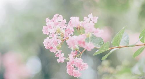 有心眼,但不喜欢坑人的星座,迟早能过上美好的生活休闲区蓝鸢梦想 - Www.slyday.coM 有心眼,但不喜欢坑人的星座,迟早能过上美好的生活休闲区蓝鸢梦想 - Www.slyday.coM