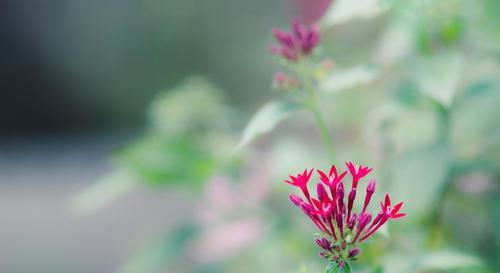 有心眼,但不喜欢坑人的星座,迟早能过上美好的生活休闲区蓝鸢梦想 - Www.slyday.coM 有心眼,但不喜欢坑人的星座,迟早能过上美好的生活休闲区蓝鸢梦想 - Www.slyday.coM