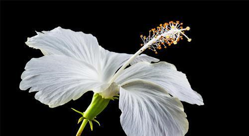 有心眼,但不喜欢坑人的星座,迟早能过上美好的生活休闲区蓝鸢梦想 - Www.slyday.coM 有心眼,但不喜欢坑人的星座,迟早能过上美好的生活休闲区蓝鸢梦想 - Www.slyday.coM