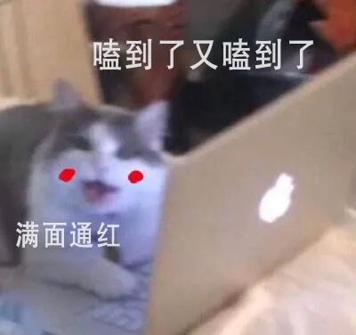 《请君》任嘉伦李沁双向表白，甜蜜柜咚在线撒糖！休闲区蓝鸢梦想 - Www.slyday.coM