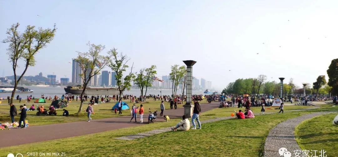 看南京桥北滨江生态公园真热闹