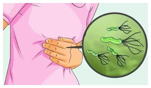 感染幽门螺杆菌或诱发胃癌,共餐时易致全家感染休闲区蓝鸢梦想 - Www.slyday.coM 感染幽门螺杆菌或诱发胃癌,共餐时易致全家感染休闲区蓝鸢梦想 - Www.slyday.coM