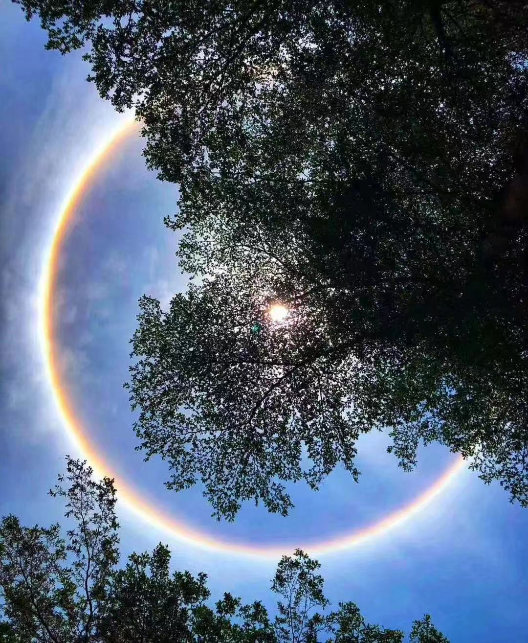 刷屏了!南方多地出现日晕景观