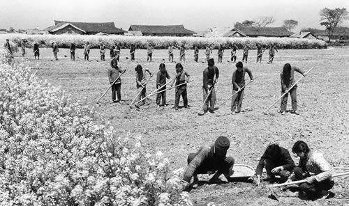 价值两亿的青花瓷,被村民挖出后,用来腌了十年咸菜休闲区蓝鸢梦想 - Www.slyday.coM 价值两亿的青花瓷,被村民挖出后,用来腌了十年咸菜休闲区蓝鸢梦想 - Www.slyday.coM