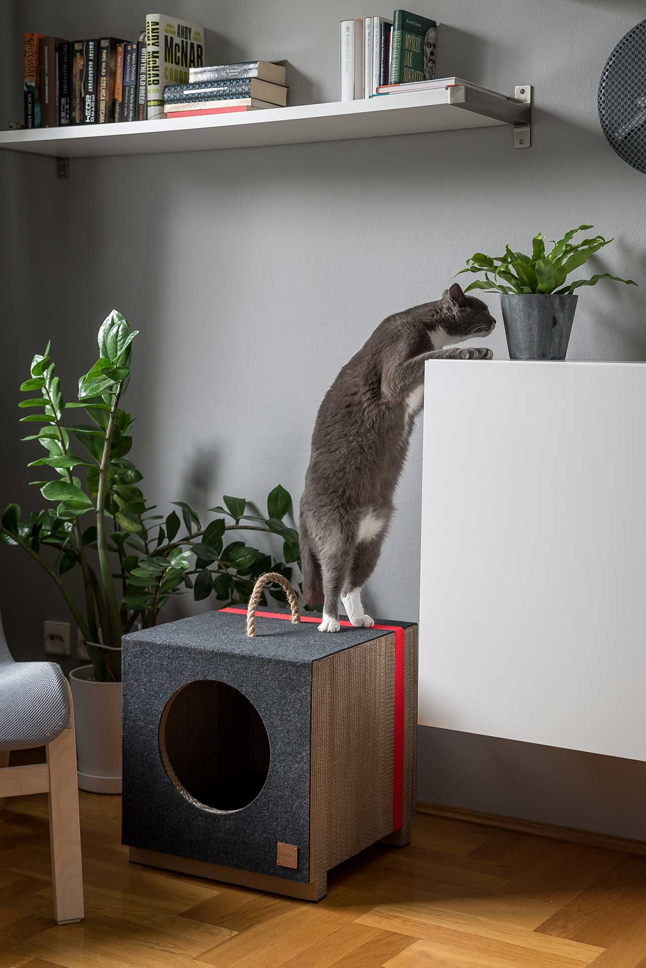 嘉合创通说设计:建筑师设计的现代猫家具