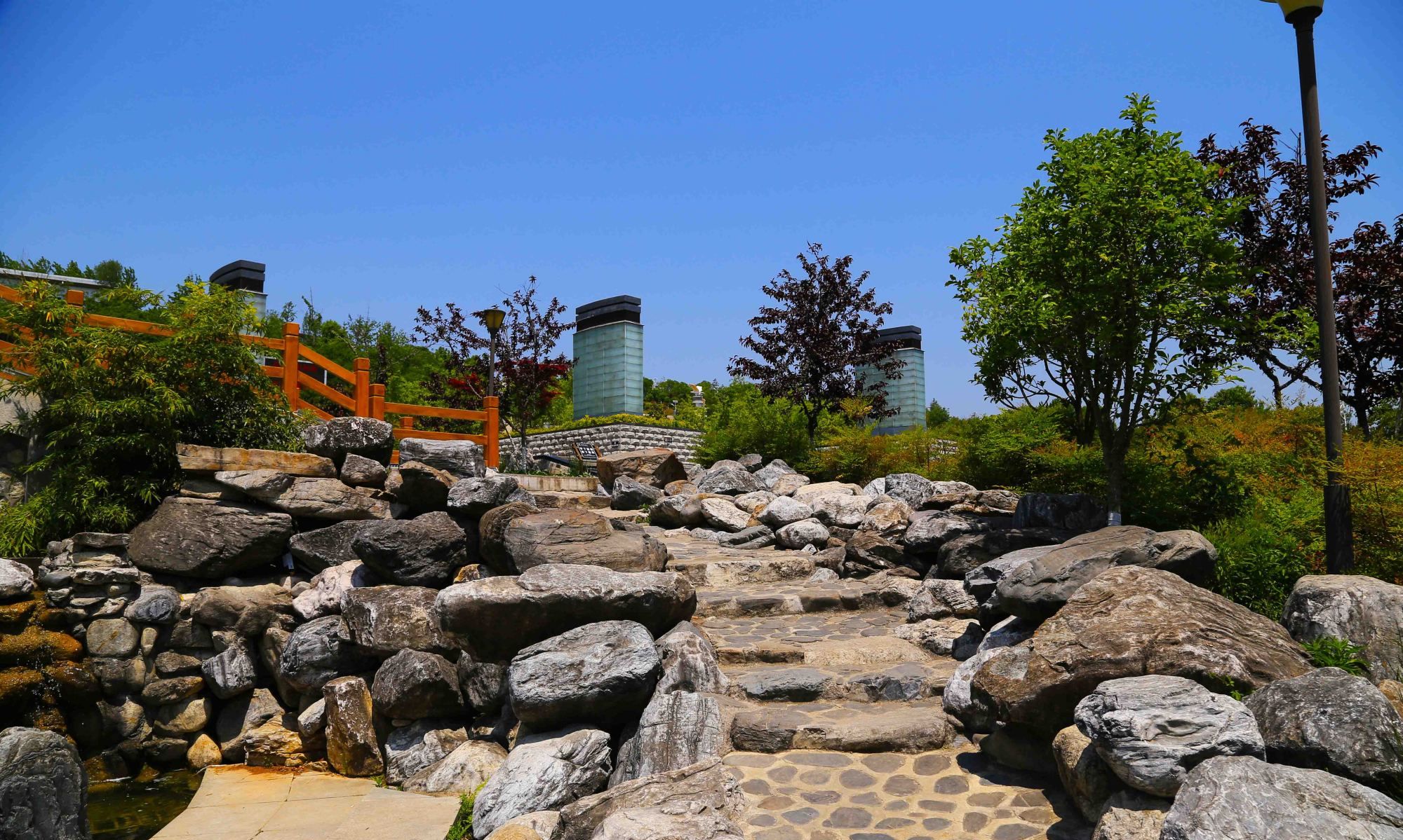 健康休闲好去处,洋县朱鹮梨园景区