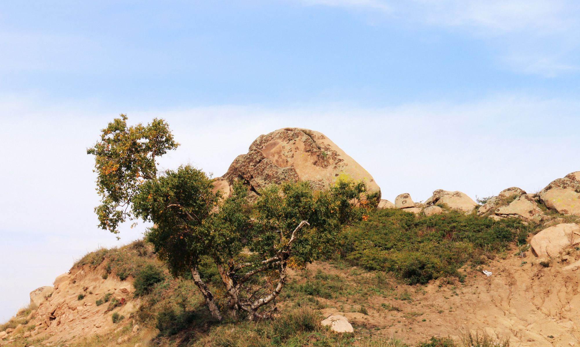 大桦背隐藏在阴山山脉里的小众旅游风景区,自驾游的好选择