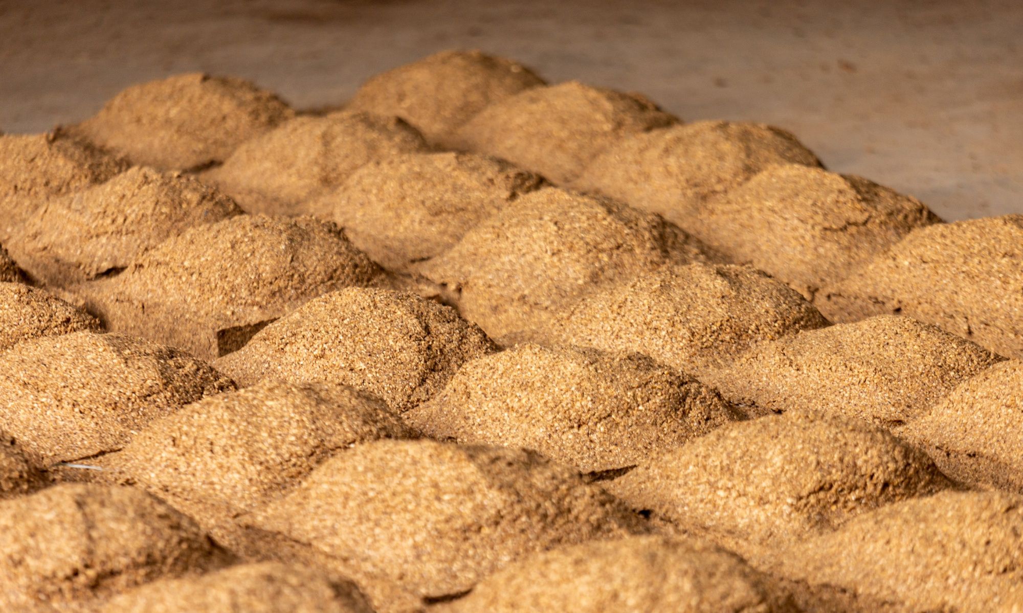 贵和酱香酒大曲需要储存长达六个月的时间,其中的原因你知道吗?