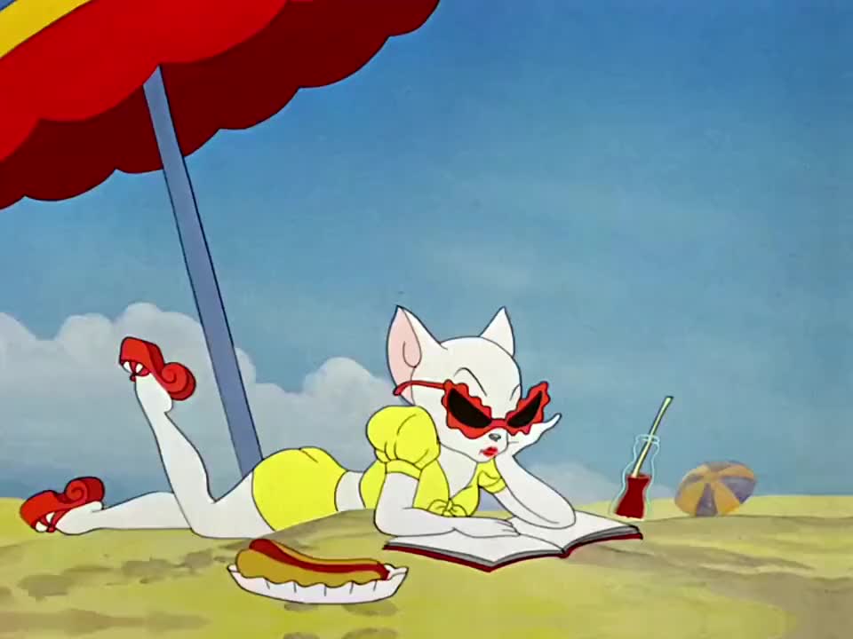 真不能怪汤姆太花,这些母猫放出来谁不迷糊呢?