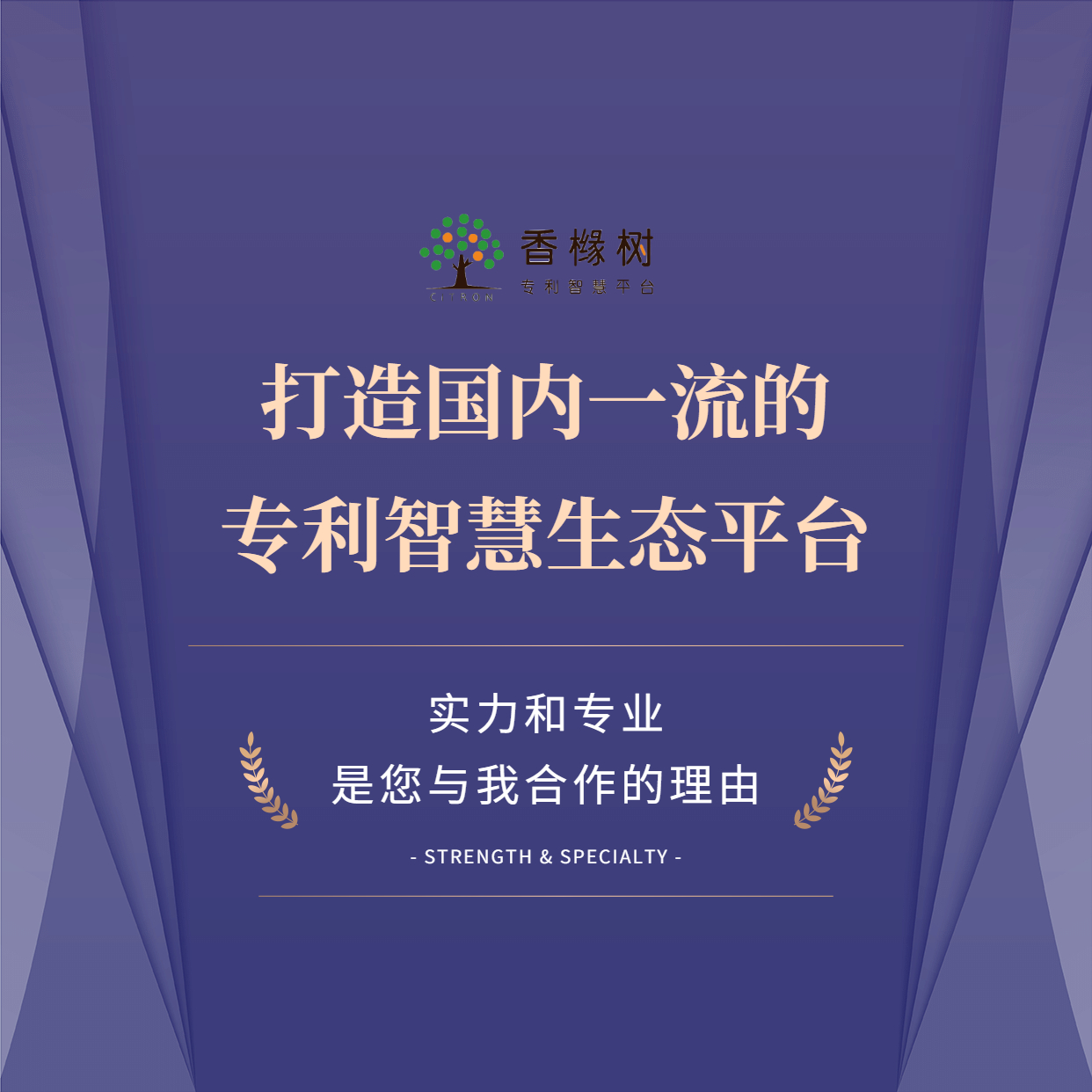 3daa-2b7339cdaa67b6c4ad35ac0bf94a04ea.jpg