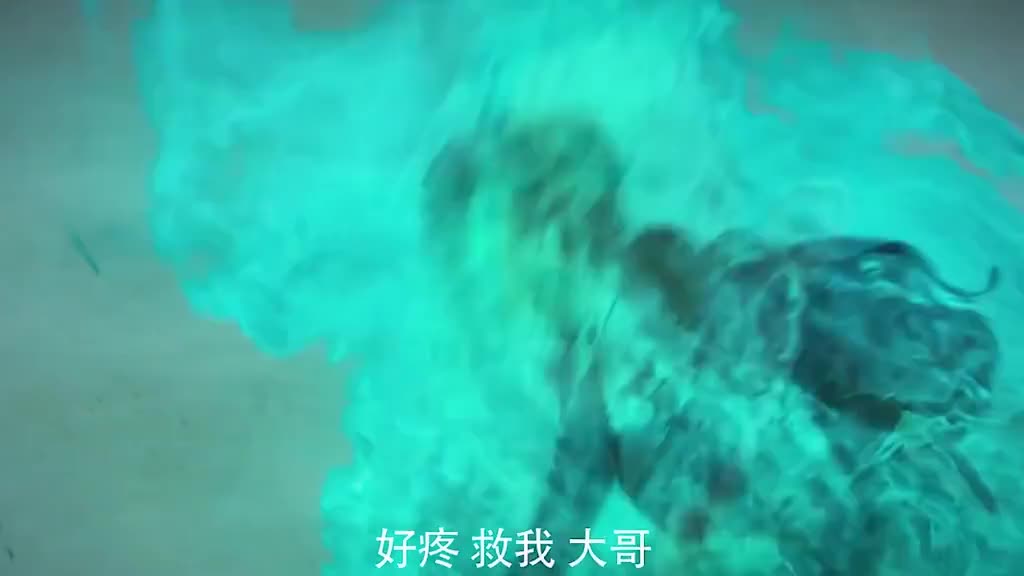 男子贪念作祟,邪佛感应到邪恶,瞬间化作漫天死虫!|明星|娱乐|雷人_新浪新闻