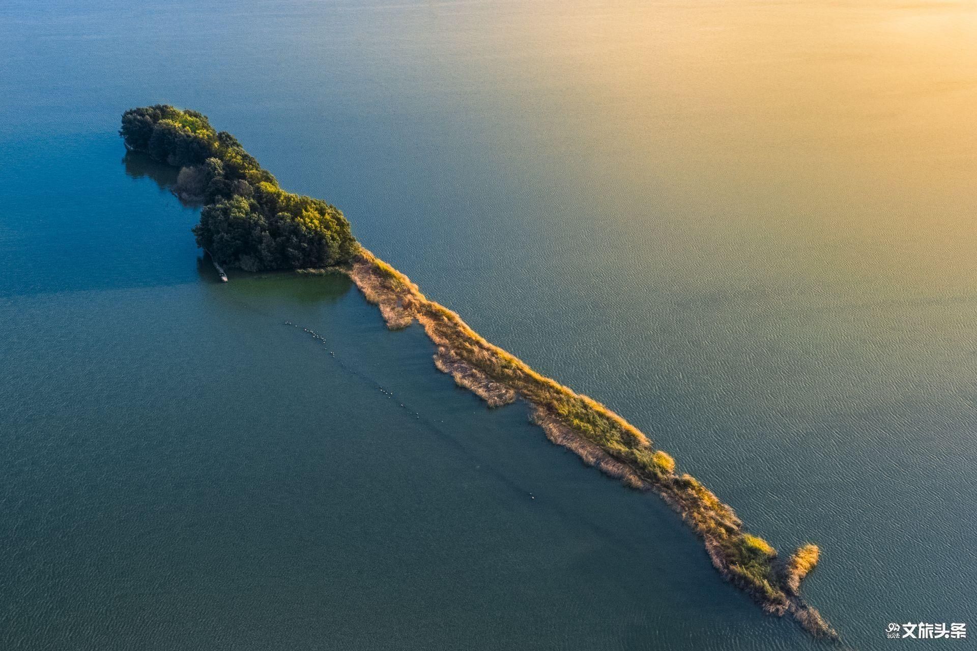 预告 12月6日云上相约跟随直播探访滇池湿地生物多样性 地理中国 滇池 云南 新浪新闻