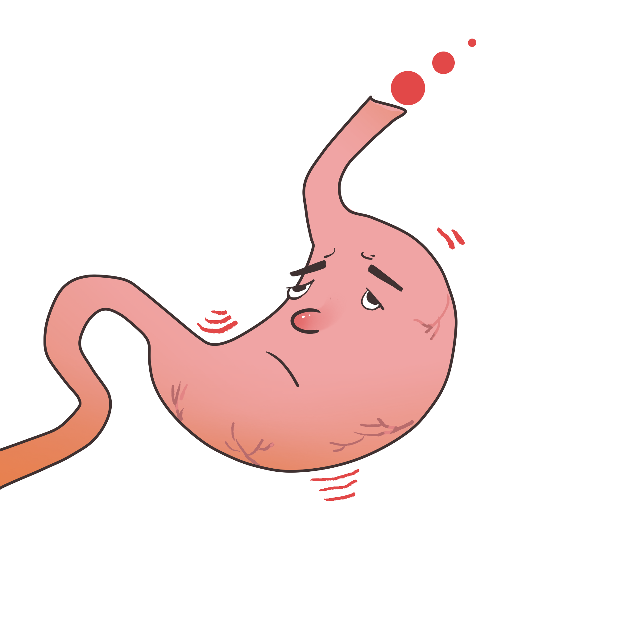 促胃肠动力药物,这类药物可以促进肠道蠕动,但也容易引发不良的症状