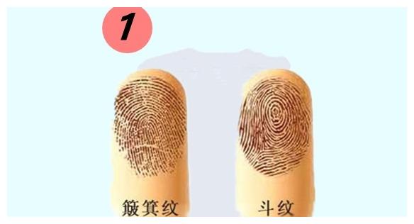 手上有几个斗最好命你的手掌有几个斗十个斗好不好