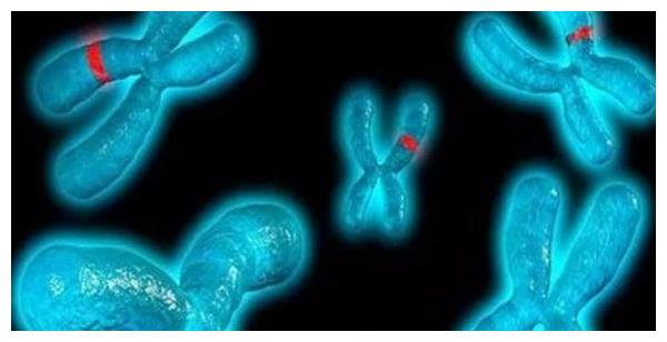 广州试管供卵(海南慈铭博鳌国际医院三代试管婴儿的流程是什么样的!)