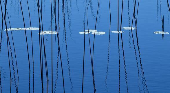 水中倒影如何拍摄看看这几个技巧就会了非常简单