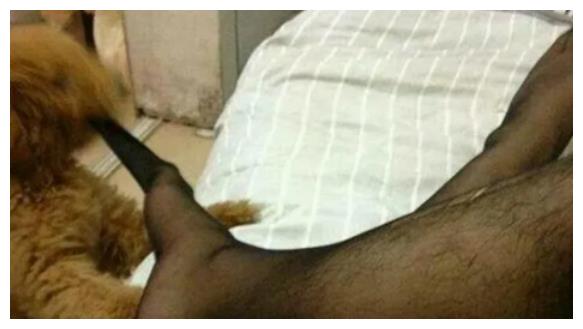 打车遇到一位司机,胳膊上的纹身亮眼了!哈哈哈……有点可爱了休闲区蓝鸢梦想 - Www.slyday.coM 打车遇到一位司机,胳膊上的纹身亮眼了!哈哈哈……有点可爱了休闲区蓝鸢梦想 - Www.slyday.coM