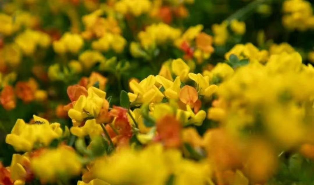 人生是一场追求 也是一场领悟 世间没有不弯的路