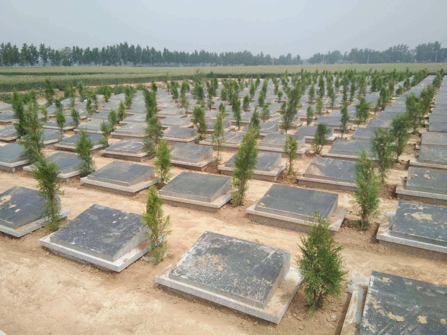 10万的墓地,你会让孩子为自己购买吗?我建议你放弃!