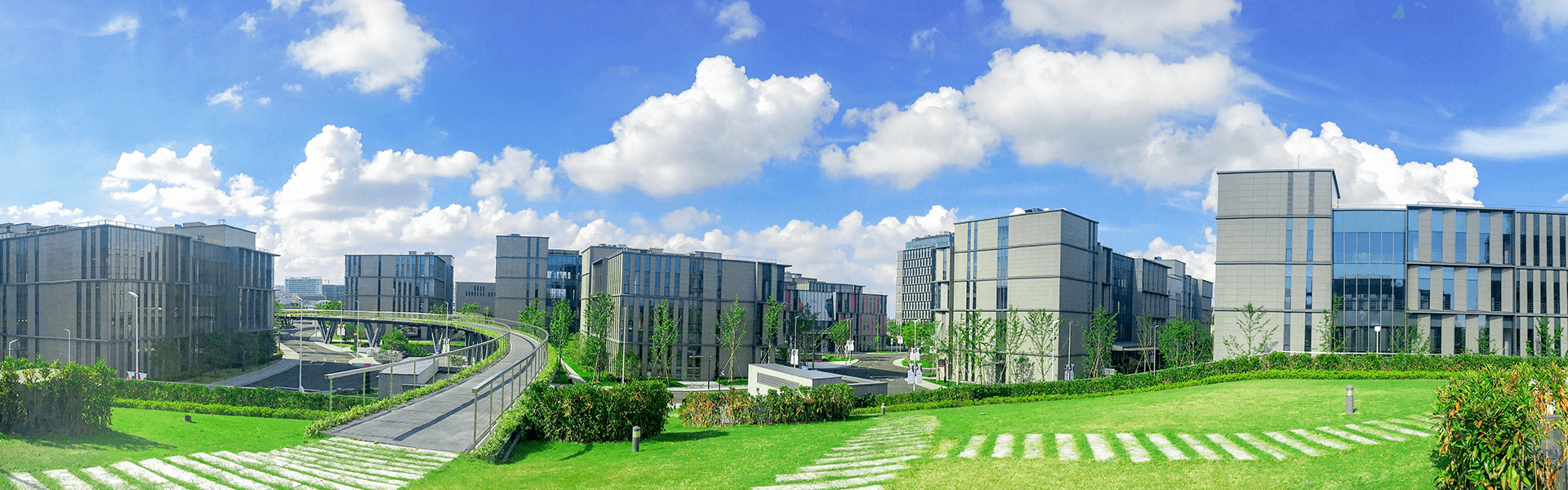 疫情之下逆风飞翔的海燕——东方美谷集团全力推动复工复产侧记