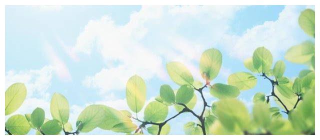 明天8月2日生肖运势 运势 生肖鸡 属兔 新浪新闻