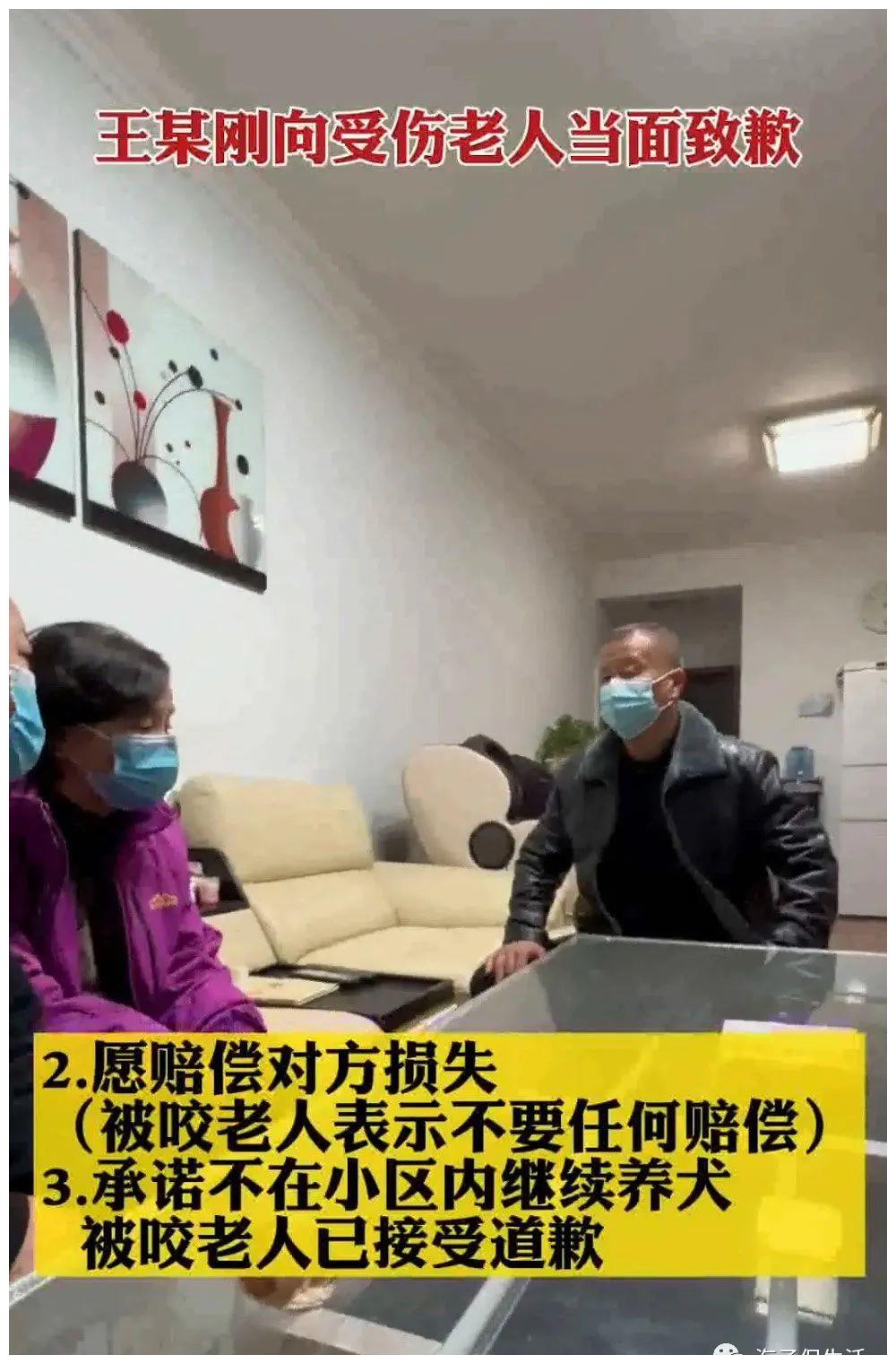 安阳咬人的狗也有一个“咬人”的主人休闲区蓝鸢梦想 - Www.slyday.coM