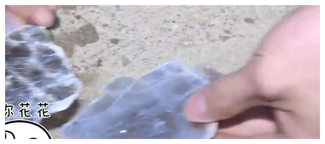 孩子一出生就有31个指头，母亲伤心欲绝：全是我不好休闲区蓝鸢梦想 - Www.slyday.coM