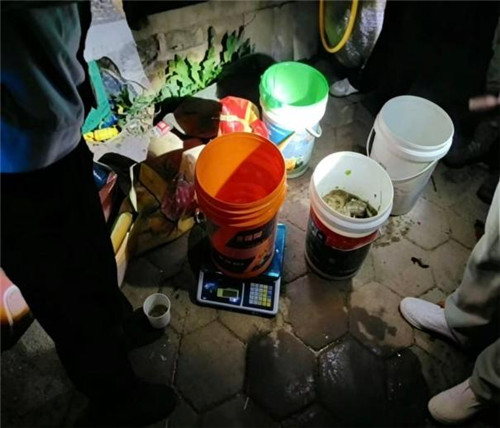 旅顺深夜亮剑严惩偷捕乱象