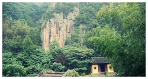 老人把一棵怪树种在儿子坟前，日夜浇灌60年，在她临终前结出果子休闲区蓝鸢梦想 - Www.slyday.coM