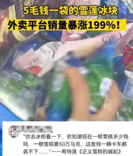 雪莲冰块平台销量暴涨199%！一包只赚5分钱，5毛钱定价13年没涨休闲区蓝鸢梦想 - Www.slyday.coM
