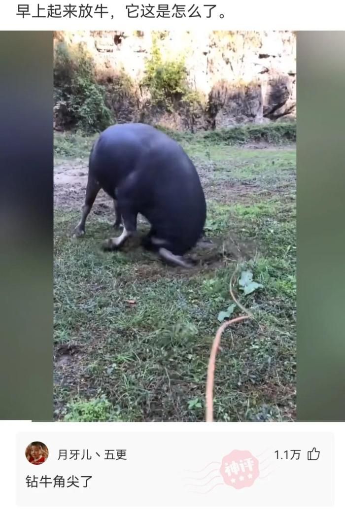 轻松一刻:喂你在哪里?我在那个被树挡住的烤肉店休闲区蓝鸢梦想 - Www.slyday.coM 轻松一刻:喂你在哪里?我在那个被树挡住的烤肉店休闲区蓝鸢梦想 - Www.slyday.coM