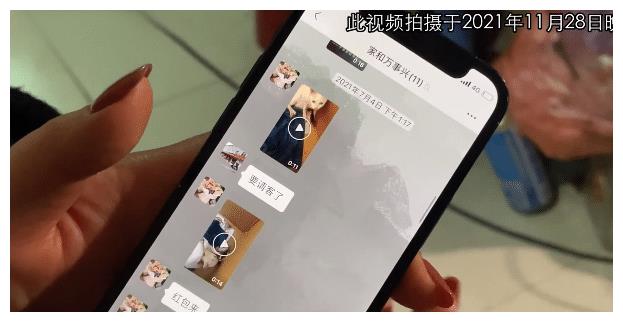 《当家主母》报案,再晒猫咪现状视频,网友质疑公猫下崽科学奇迹休闲区蓝鸢梦想 - Www.slyday.coM 《当家主母》报案,再晒猫咪现状视频,网友质疑公猫下崽科学奇迹休闲区蓝鸢梦想 - Www.slyday.coM