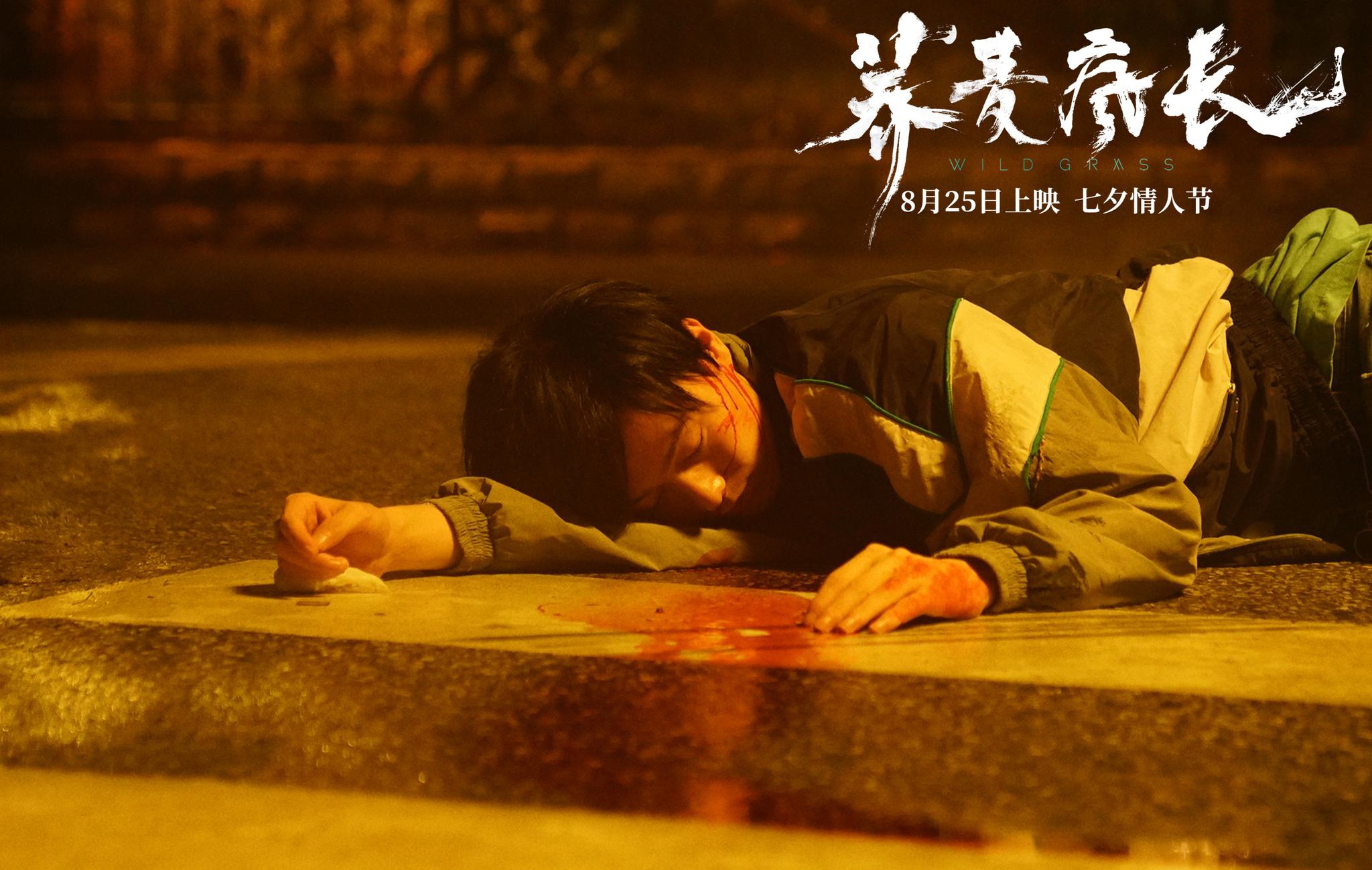 辛鹏荞麦疯长为爱打破桎梏奔向自由未来