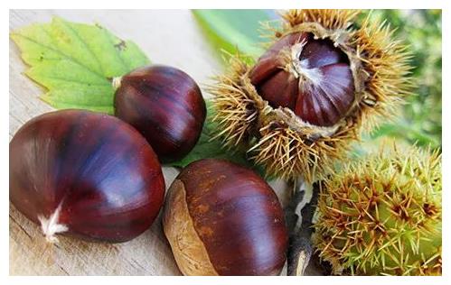 大家期待的跨年夜快到了,家里要有的3种发财果,寓意抬头见喜休闲区蓝鸢梦想 - Www.slyday.coM 大家期待的跨年夜快到了,家里要有的3种发财果,寓意抬头见喜休闲区蓝鸢梦想 - Www.slyday.coM