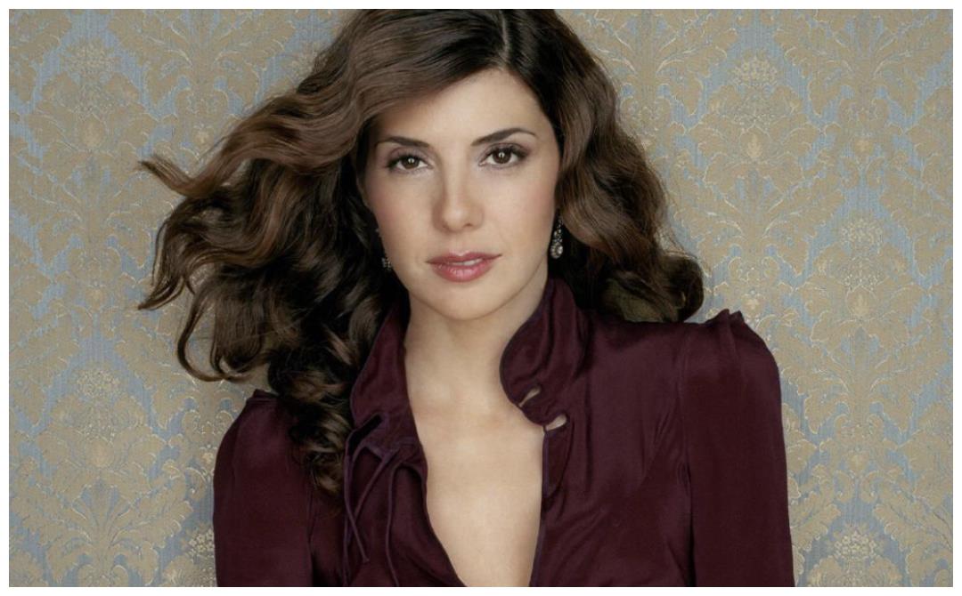 有人说漫威新版梅姨颜值最高那是你没看过她年轻时的巅峰颜值