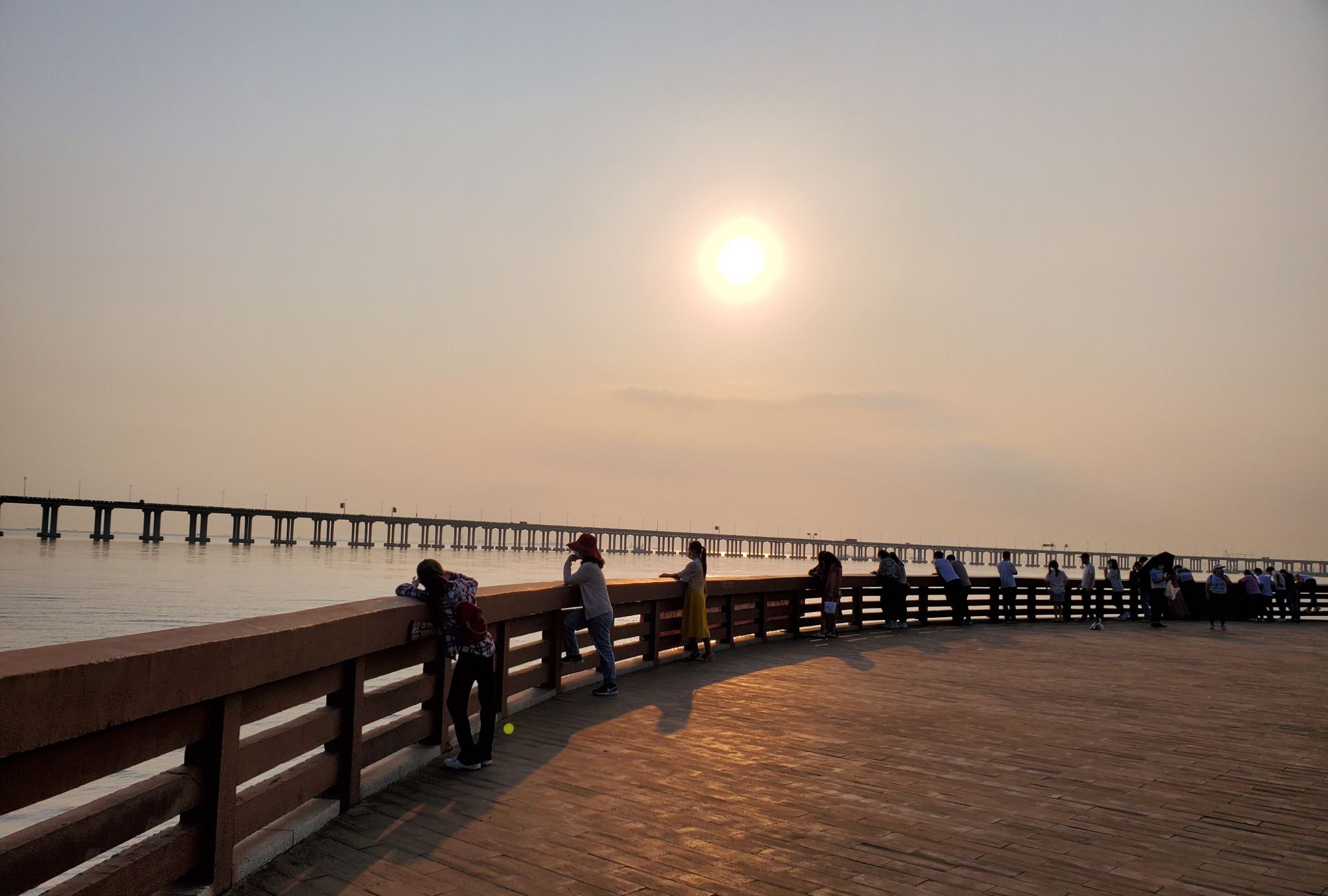 深圳西湾红树林公园-生态湿地公园之美!_高清图集_新浪网