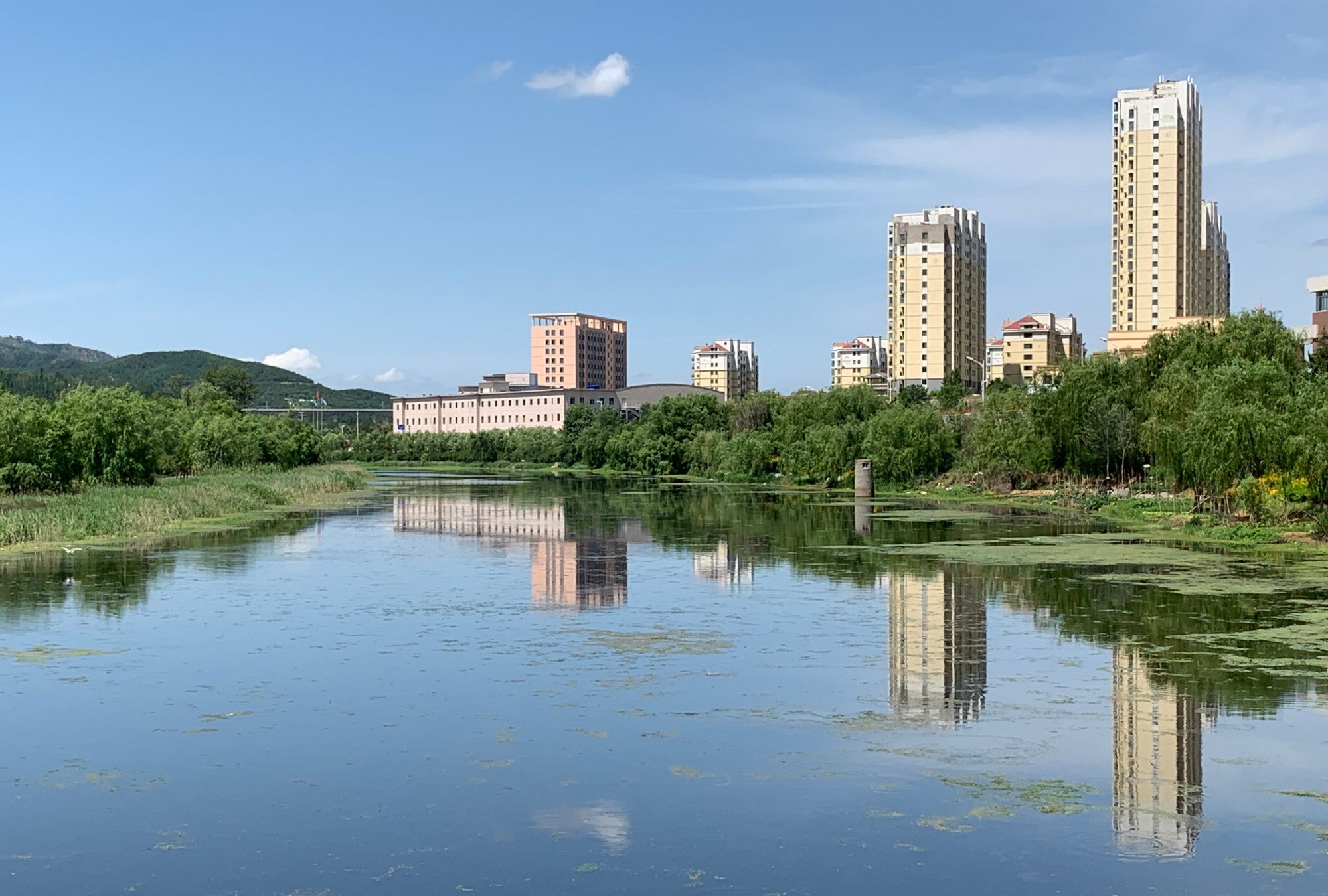 大美!威海凤凰湖湿地公园