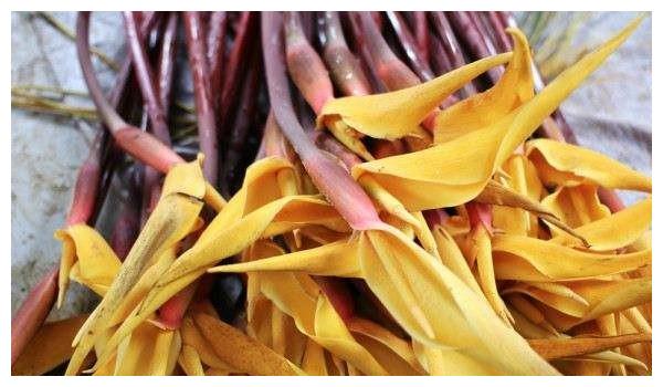 云南可吃的野花合集__财经头条