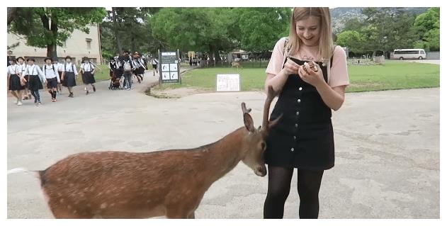 被动物占领的9座岛屿，看到它们会被萌化，你准好了吗？（下）休闲区蓝鸢梦想 - Www.slyday.coM